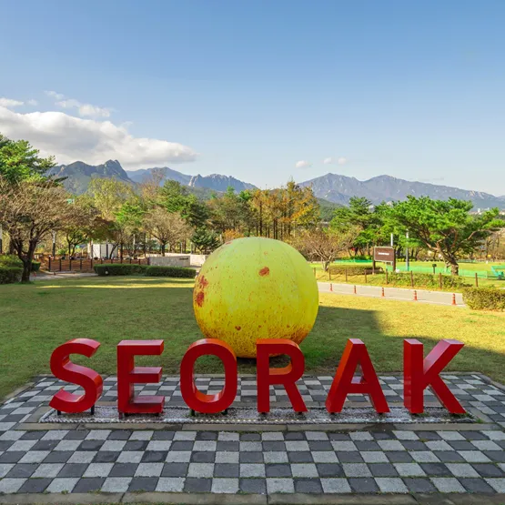 속초시 금호설악리조트 파크골프장 소개