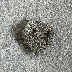 고양이 방광염 치료