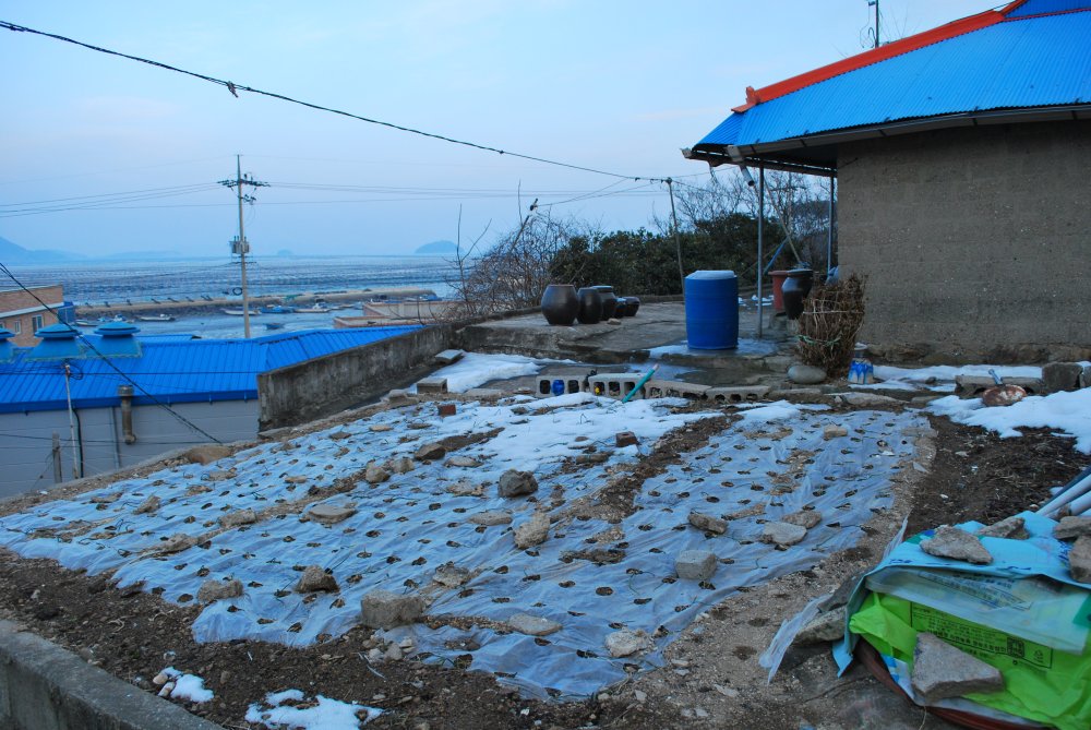 장흥군 대덕읍 옹암마을