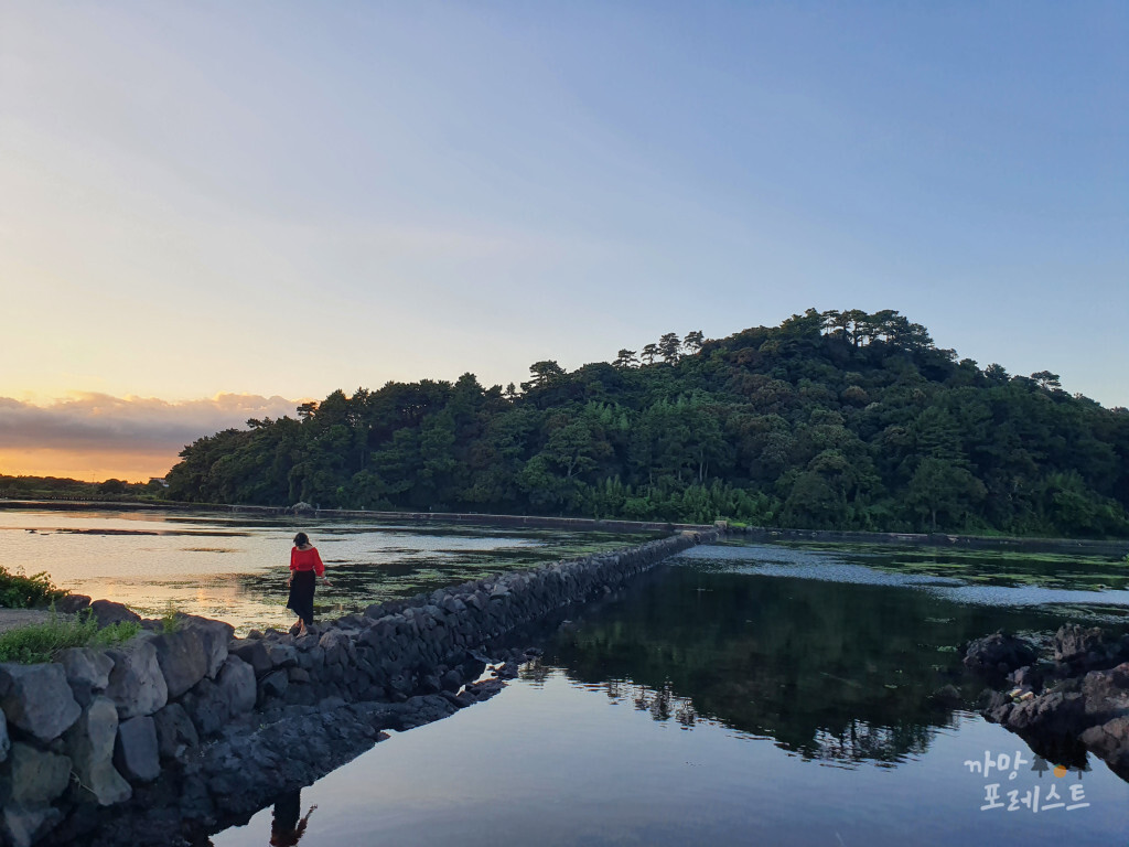 제주 오조포구