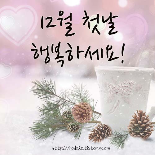 12월 첫날 인사말 이미지