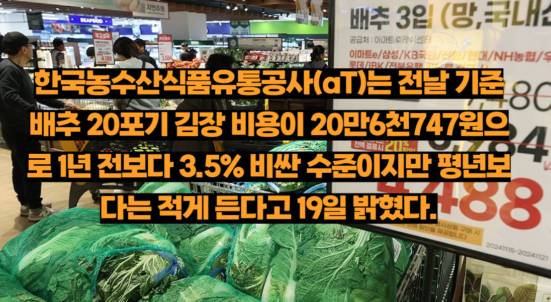 2024년 김장 비용 분석