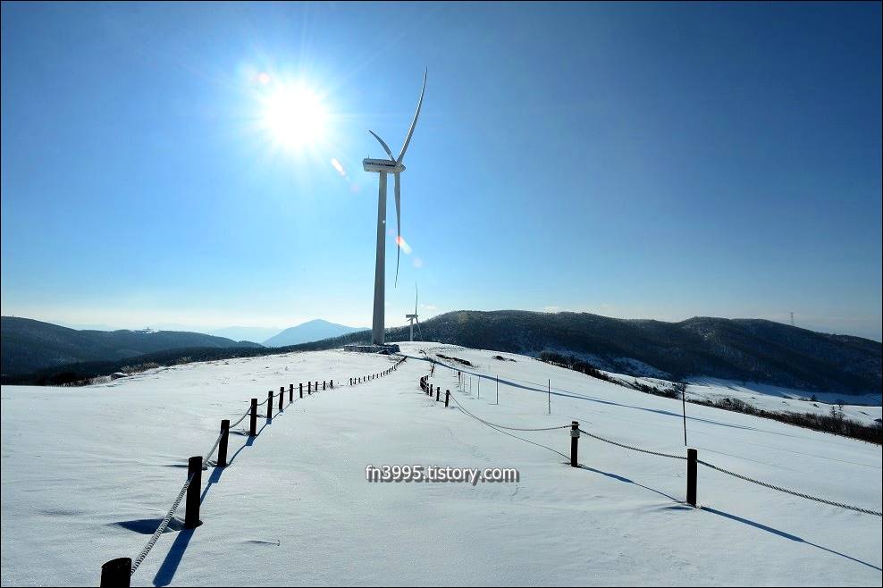 대관령 하늘목장