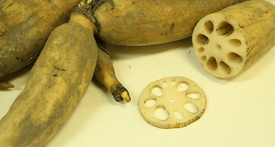 구내염에 좋은 음식 사진 - 71