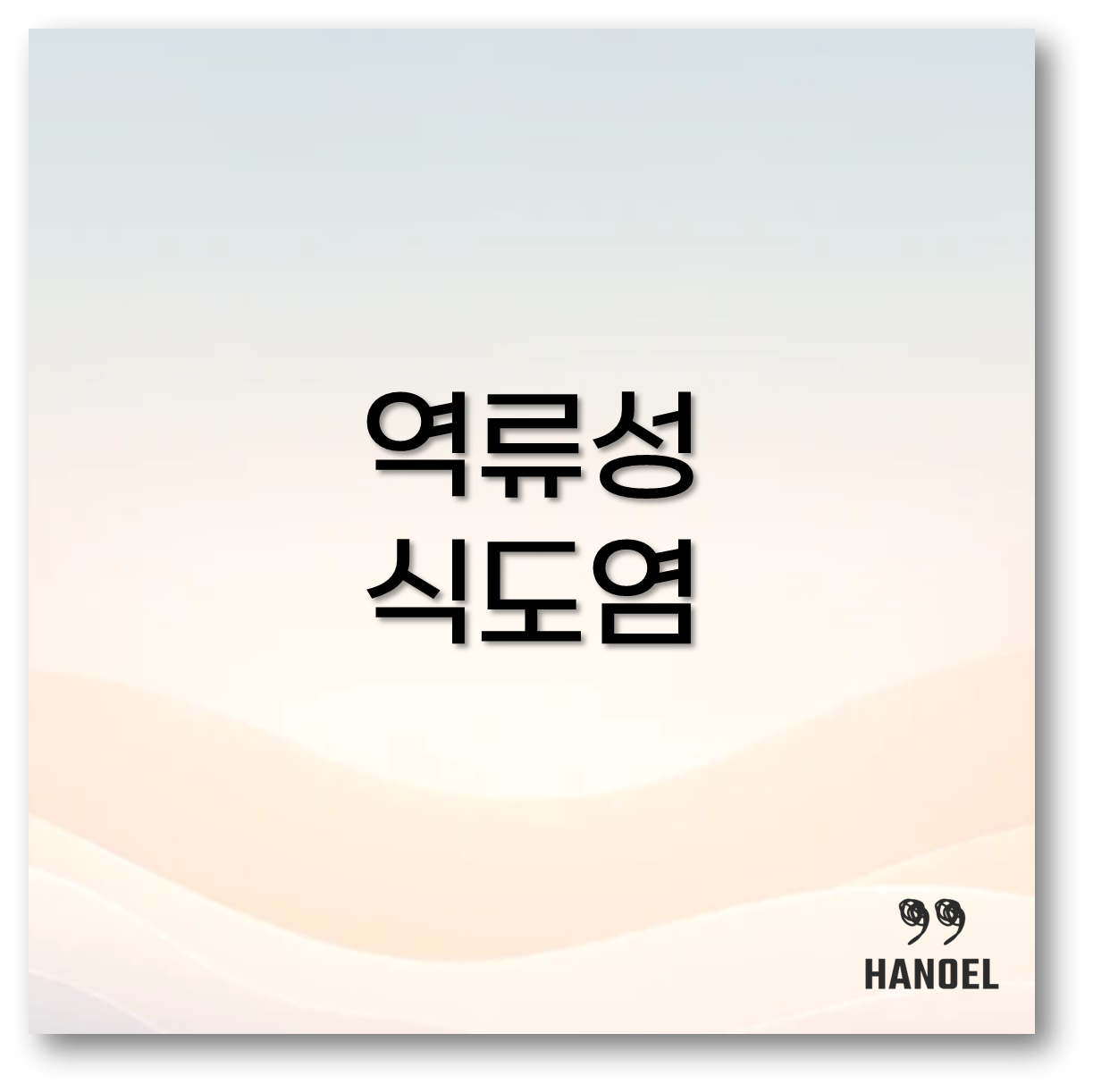 역류성 식도염