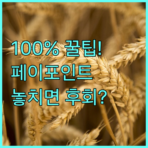 포인트 가치 100% 지키는 편의점 ..