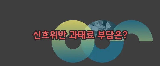 신호위반 과태료 자세히 알아볼게요