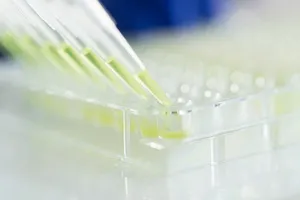 줄기세포-무릎수술-치료법