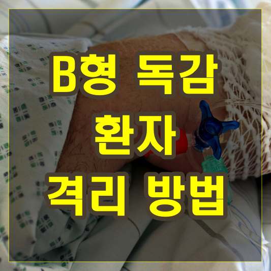 b형 독감 환자의 격리 방법