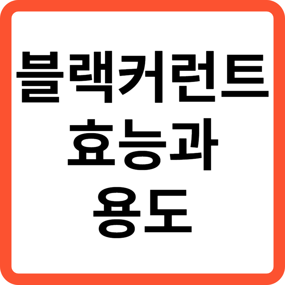 블랙커런트 효능과 용도