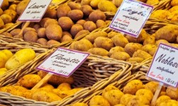 디지털 온누리 앱(2025) 사용방법 & 사용처 관련 사진