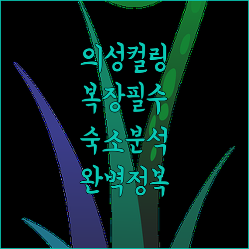 아이와 가기 좋은 의성 컬링스포츠체험..