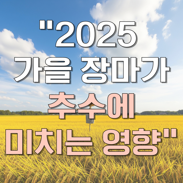 가을 장마가 추수에 미치는 영향 총정리 블로그 글 대표 이미지