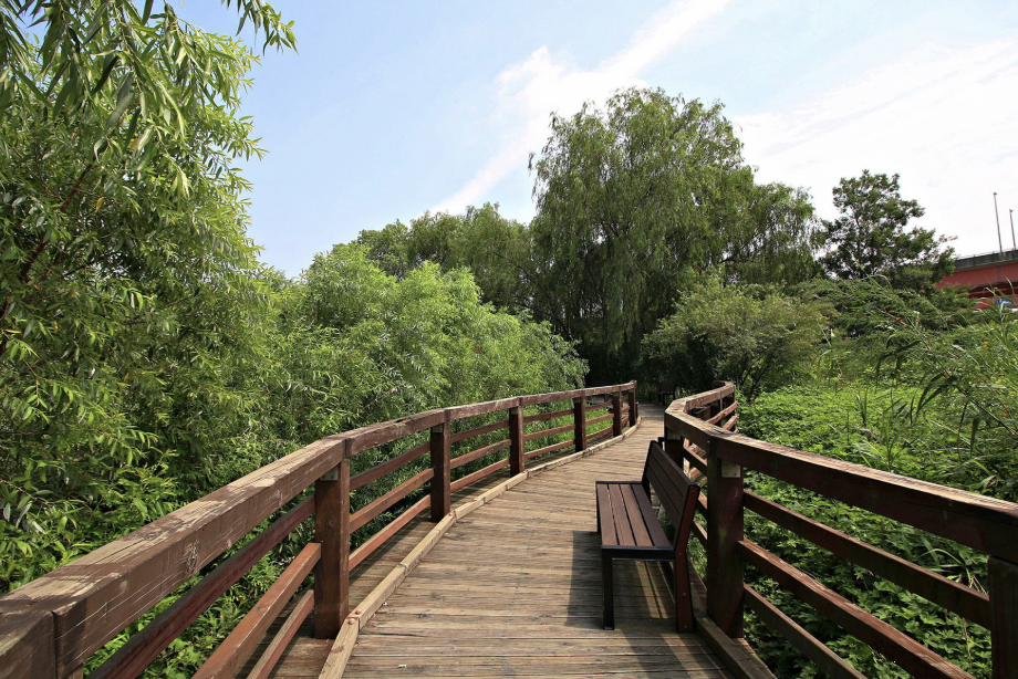 강서습지생태공원 이미지