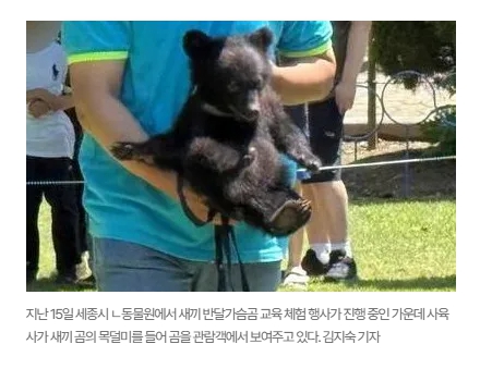 동물체험