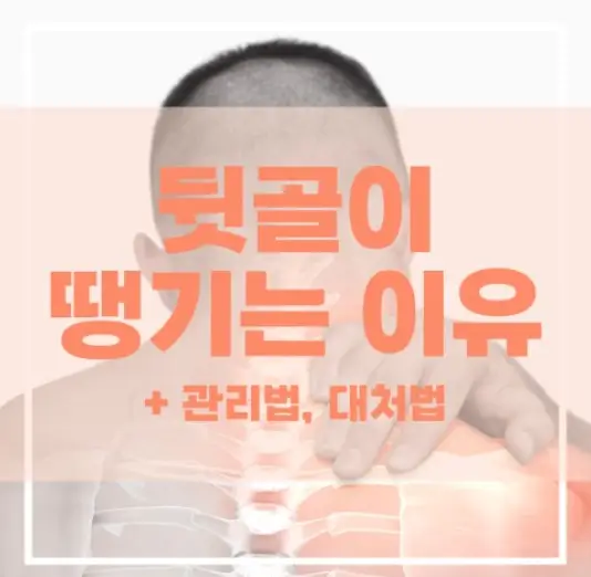 뒷골이땡기는증상