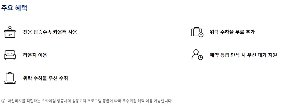 스카이팀 혜택, 서비스