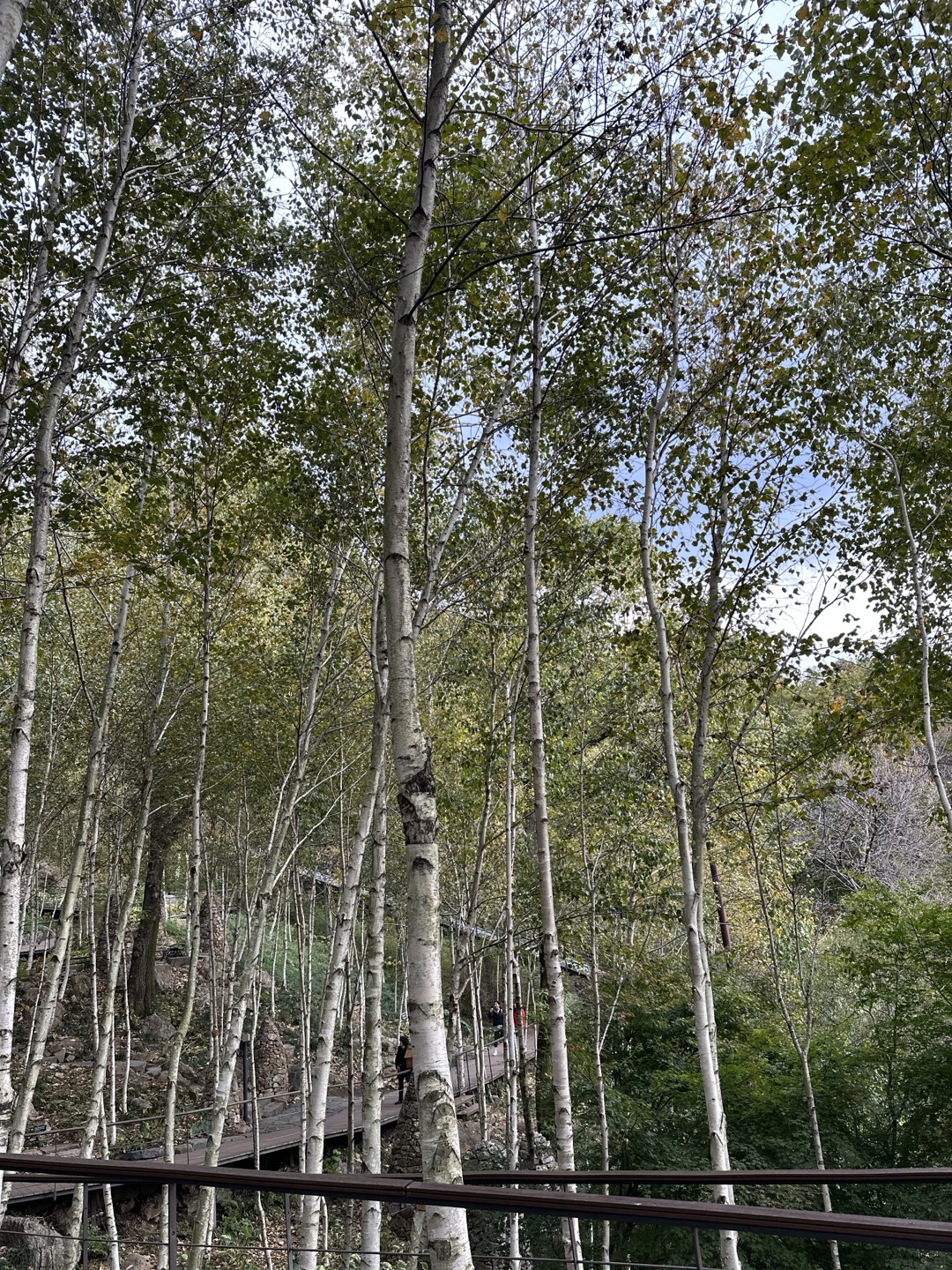 봄 여행 화담숲