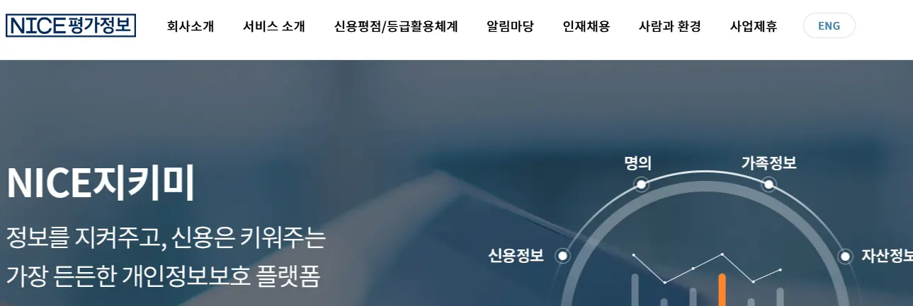 나이스 신용평가정보