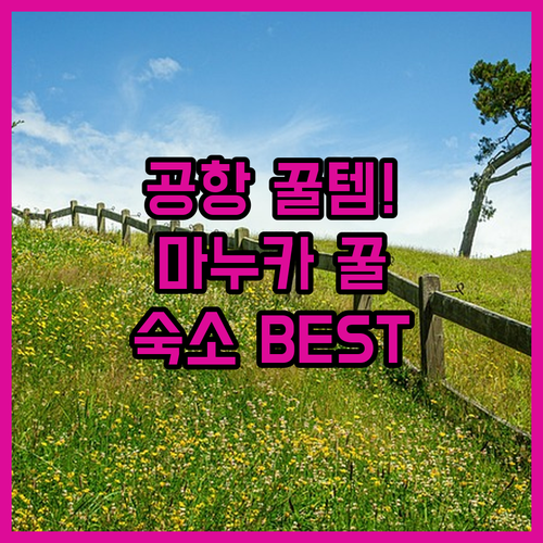 뉴질랜드 크라이스트처치 공항 마누카 ..