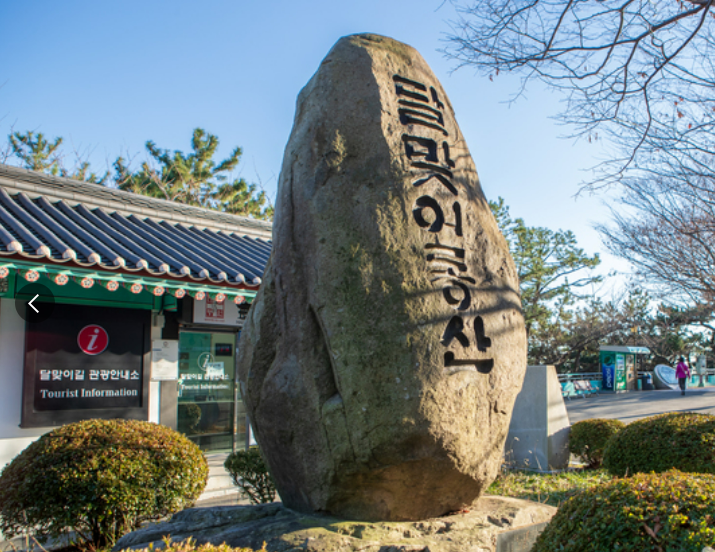 부산 해운대. 달맞이길