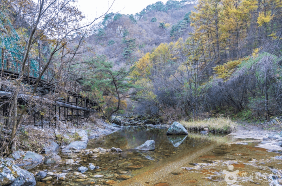 단양군 남천계곡