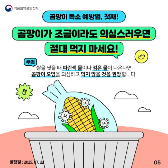 곰팡이 독소, 침묵의 위협! 꼭 알아야 할 예방법