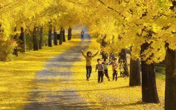 거창-의동마을-아이들이-뛰어노는-모습