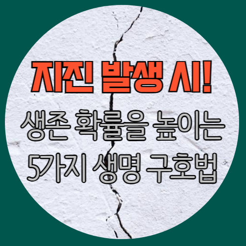 지진 발생 시 생존 확률을 높이는 5가지 생명 구호법