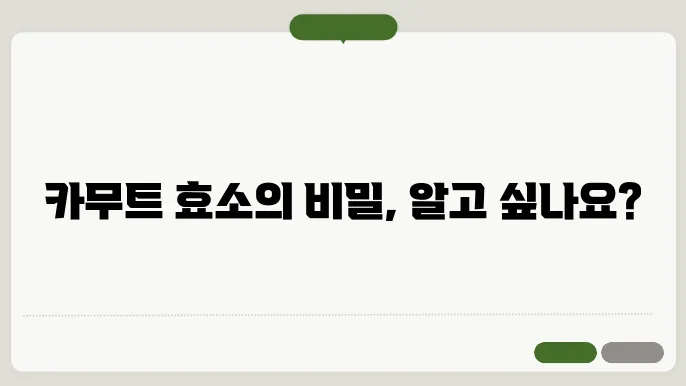 카무트 효소 효능