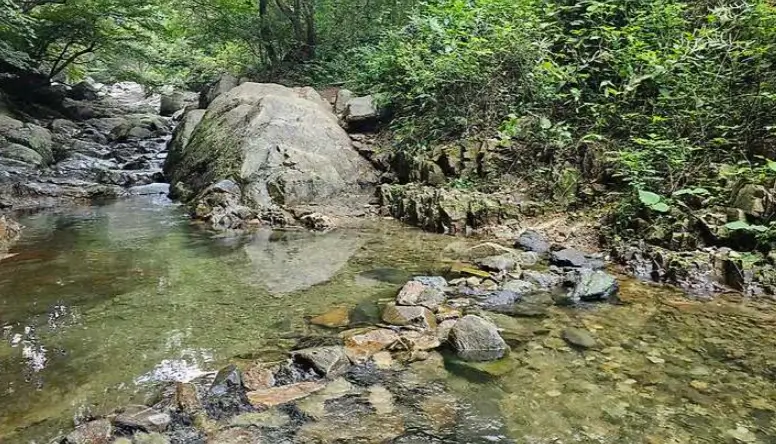 담양 물놀이 하기 좋은 계곡