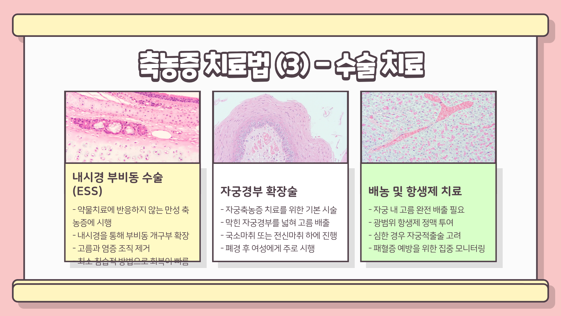 축농증 증상과 원인, 만성 축농증 증상, 자궁축농증 증상까지 완벽 정리