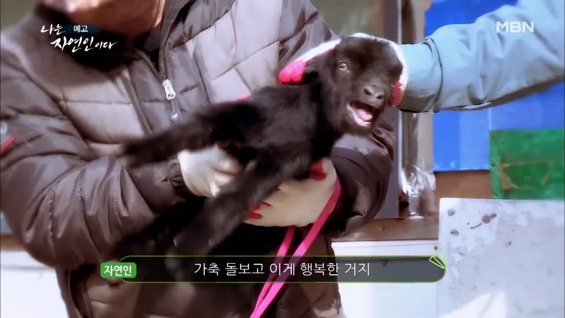 나는 자연인이다 순정 마초의 겨울찬가 자연인 박인태 소개 및 윤택 출연 533회 다시보기