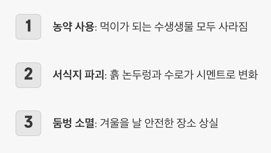 2. 왕의 몰락, 사라져버린 왕국