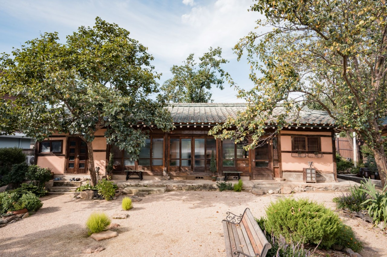 생생정보 내도 유경식당 거제도외포멸치 바람의제트보트 안나의화원