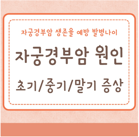 자궁경부암 원인 초기 중기 말기 증상 생존율