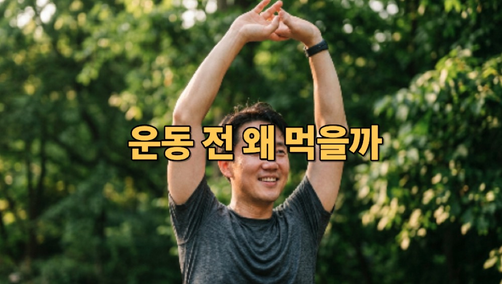 아르기닌의 효능