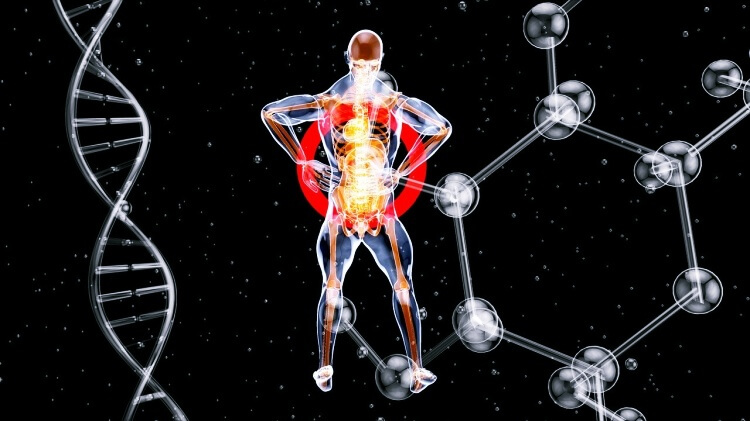 인체-뼈가보이는-해부도