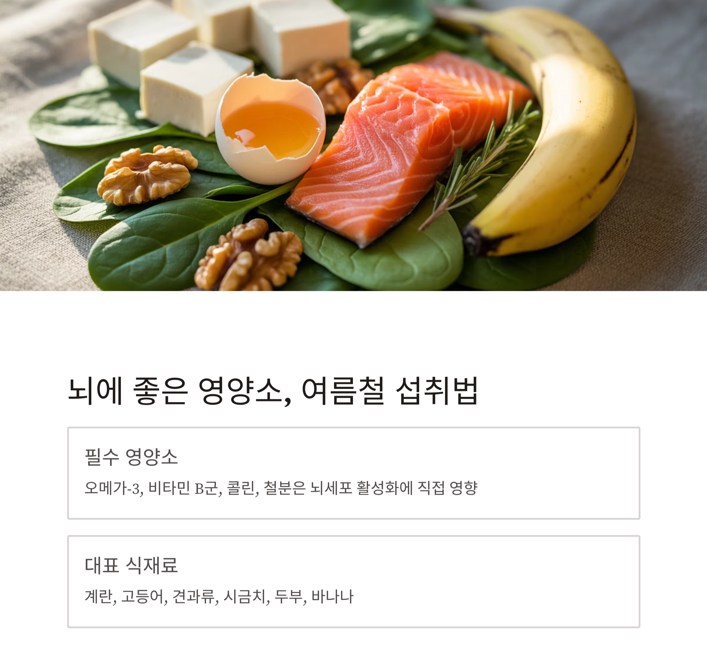 수험생 집중력 높이는 여름철 식단의 비밀