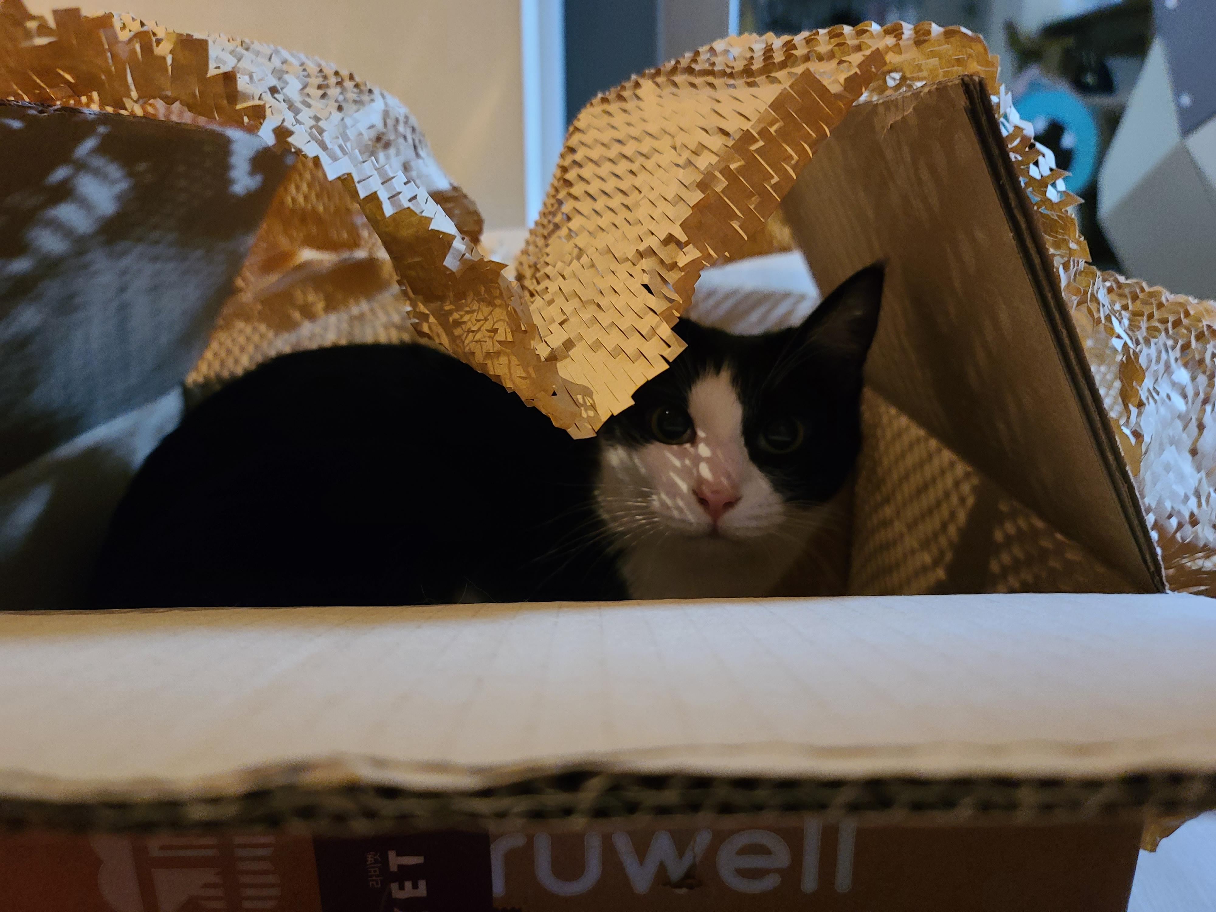 아이들의 호기심을 자극하는 장난감이 택배에 딸려왔다!