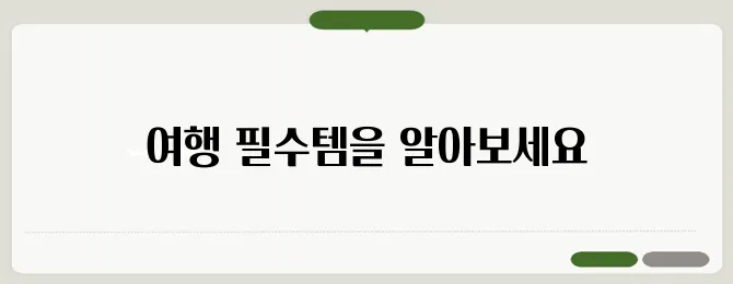 해외여행 준비물 체크리스트 여행 필수템 & 꿀팁