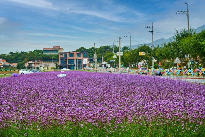 제천 가볼만한곳 베스트10