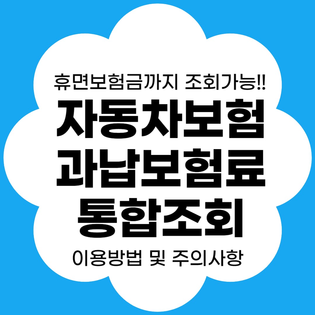 자동차보험 과납보험료 통합조회서비스 썸네일