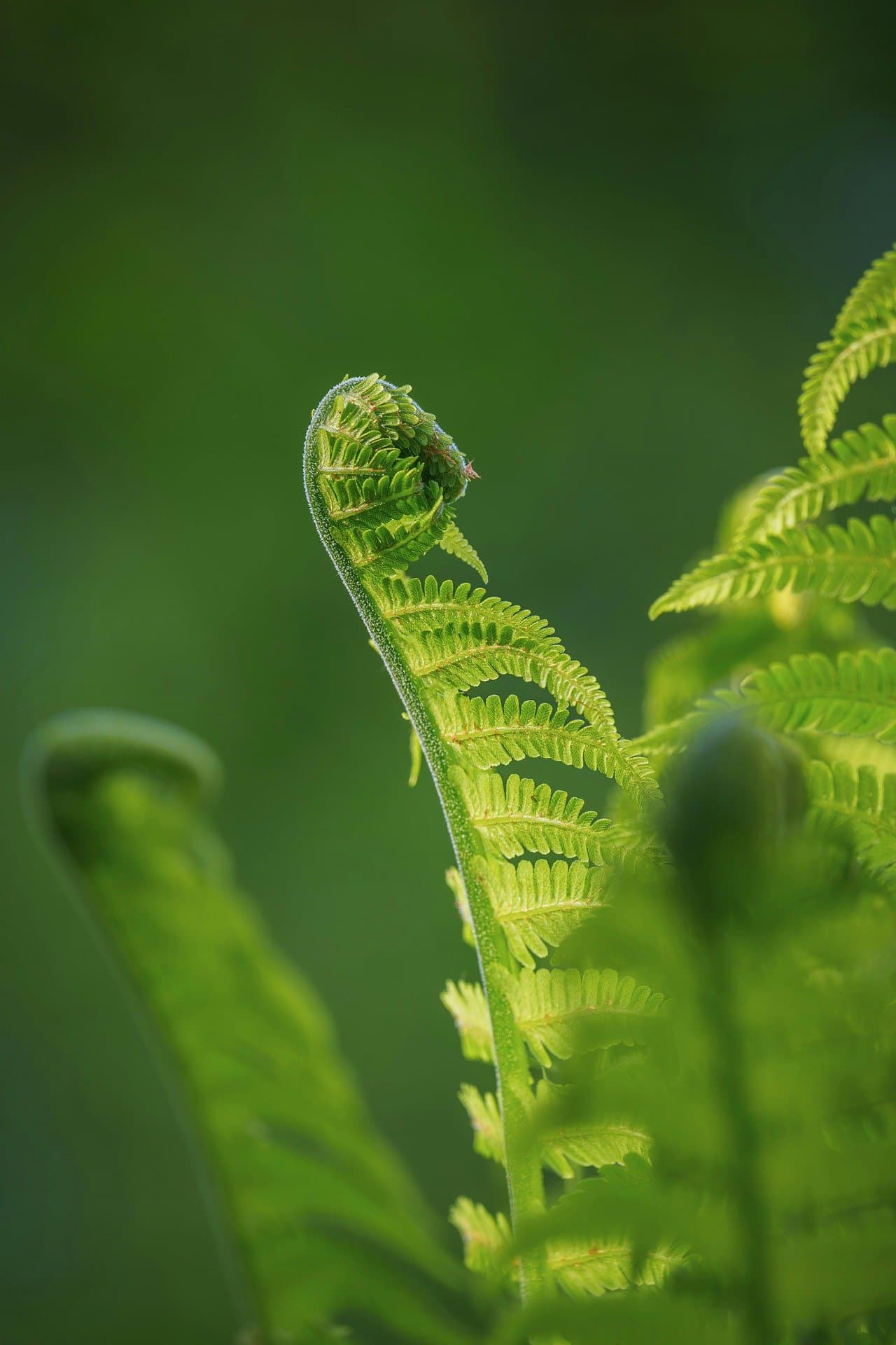 방문판매·전화권유판매 피해 예방 가이드: 소비자가 반드시 알아야 할 법적 보호 장치와 대응 방법