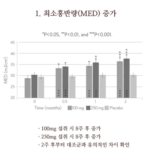 트루포뮬러 에이지톱