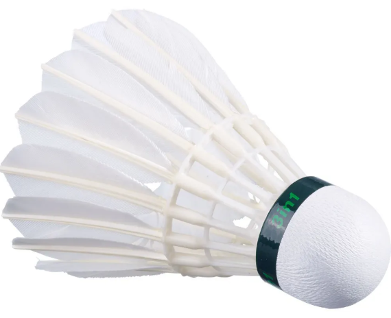 배드민튼 셔틀콕