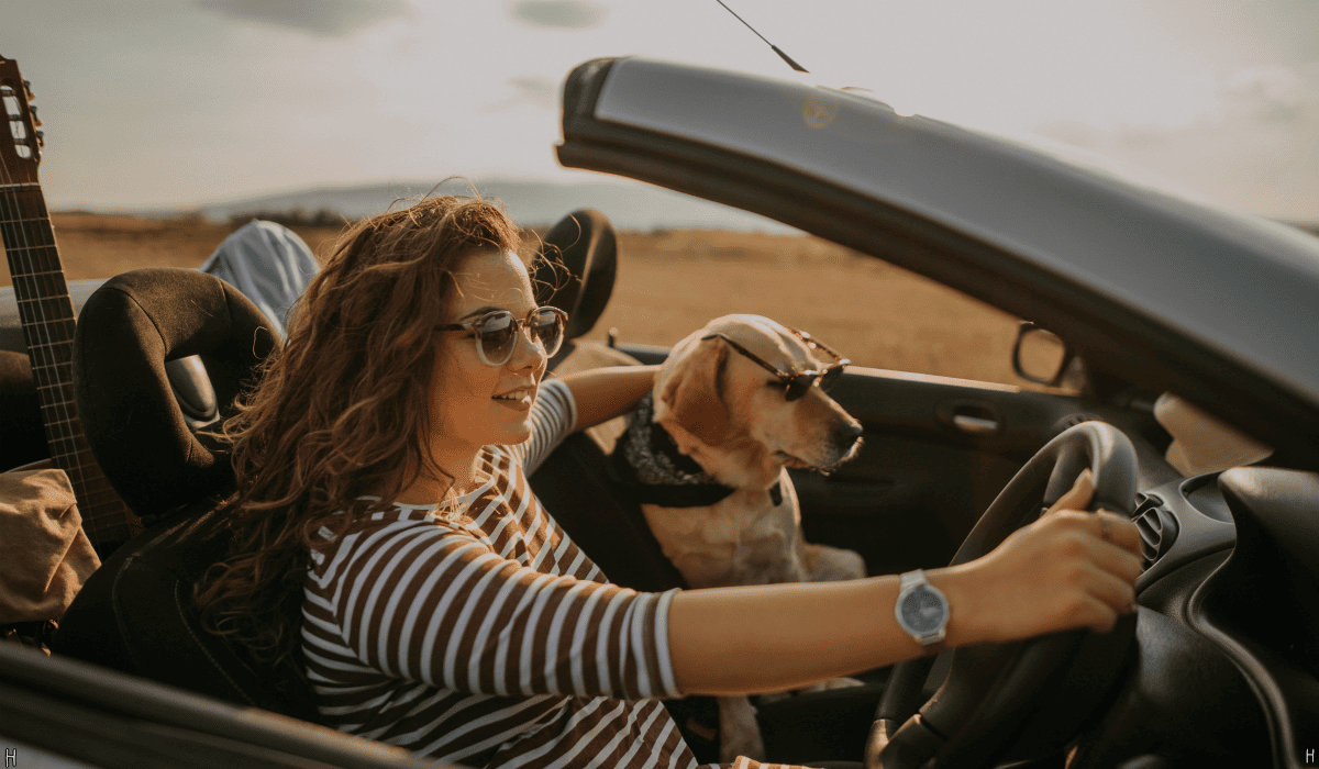 렌트카_1일_비용_1