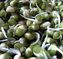 고혈압에 좋은 음식