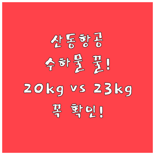 산동항공 이코노미석 위탁수하물 국내 ..