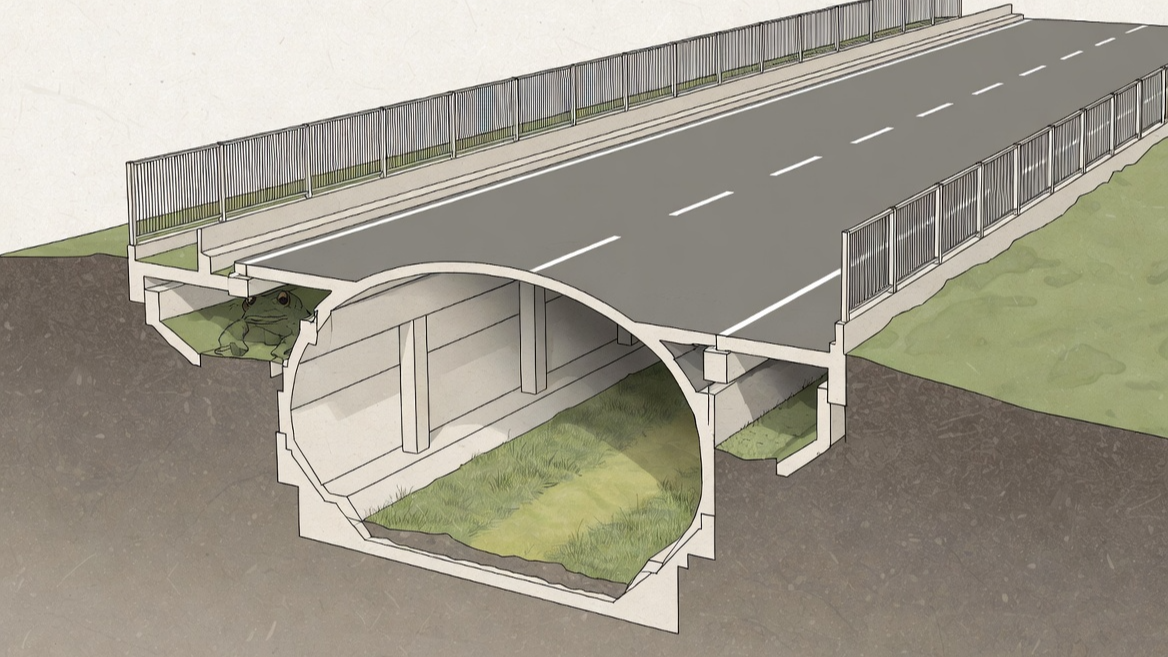 도로 아래 설치된 두꺼비 전용 생태 통로와 유도 울타리의 구조